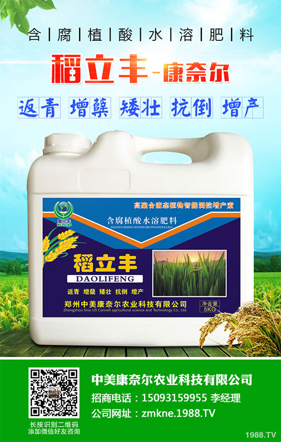 С�����·����������������ж��Ӱ���ԓ����a�ȣ�С�����·��r(n��ng)��ָ��