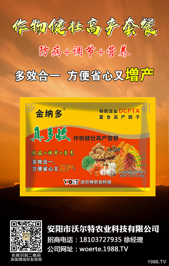 ������ô�N����ã����ѷNֲ�r(sh��)�g�����༼�g(sh��)��