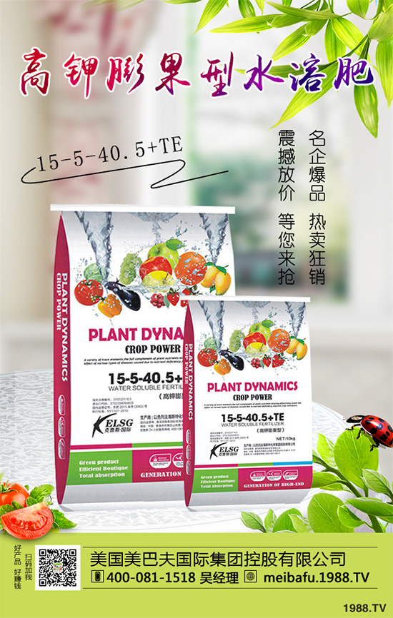 �ϹϷ��Ďׂ����L�A�����Ϲό��������I�B(y��ng)Ҫ��