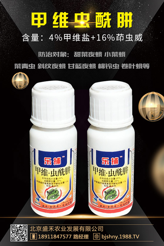 С���t֩��İl(f��)��Ҏ(gu��)������Щ��С���t֩����δ�ʩ��