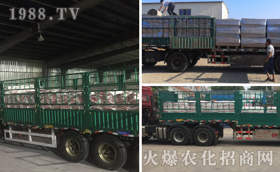 ��ɫ�к������W(xu��)���I(y��)��˾