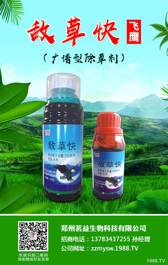 ɣ�@���݄��r(ji��)��