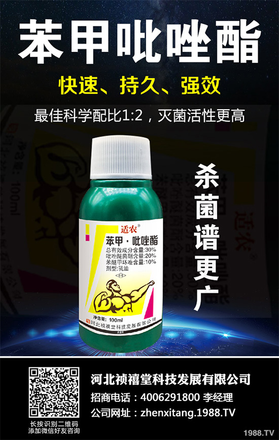 ������������~���򊙊����t��ǰ������