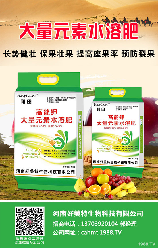 ��(x��)���[��ηNֲ���ܸ߮a(ch��n)����Ҫע��ʲô���@�傀(g��)С���ɷ���һ�£�