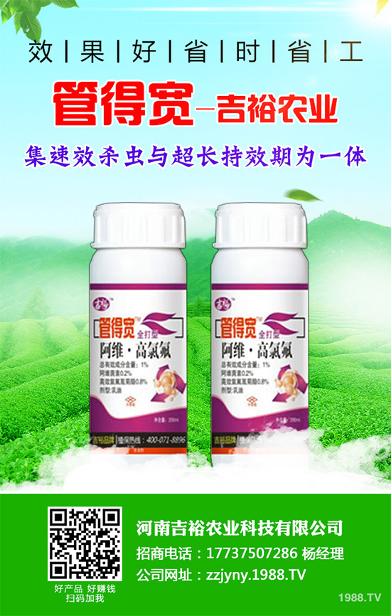 �����������x�������������������g(sh��)����