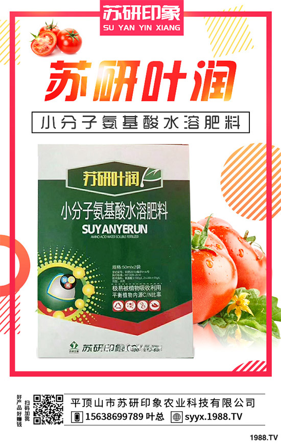 馬鈴薯該如何覆膜種植?馬鈴薯覆膜種植技術(shù)要點及存在的問題