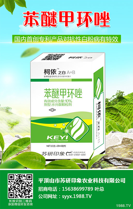     ��ذl(f��)�F(xi��n)���Ծ�������(y��ng)���赾��������뿾����Ŀ�ˎ�Ԇ��}