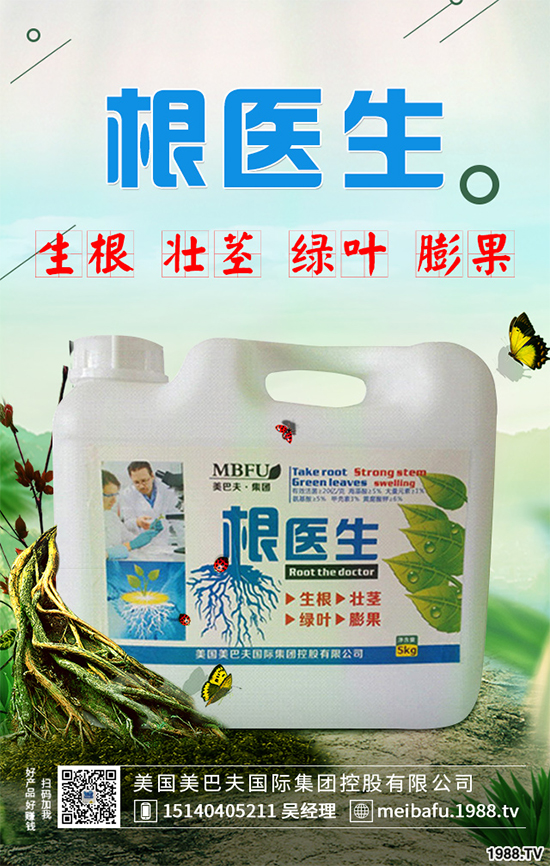 ������ʲô�r�򲥷N���������Ĳ��N�r�g��ע�����(xi��ng)