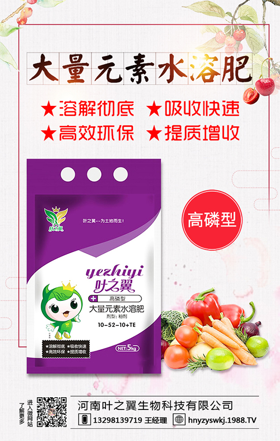 �������L(zh��ng)��(x��)������Щ�����ɵ����g����Ҫ�c(di��n)��