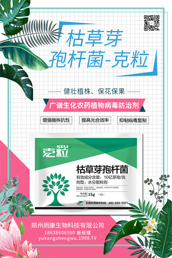 ��(gu��)��(n��i)��(d��)��(chu��ng)��ֲ��Դ����(x��)��ˎ���ذ���(l��i)�u��