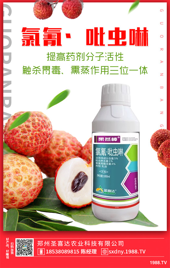 ��������ӛ���������x�y��߀�������������T��Ҫ���(qu��n)��������