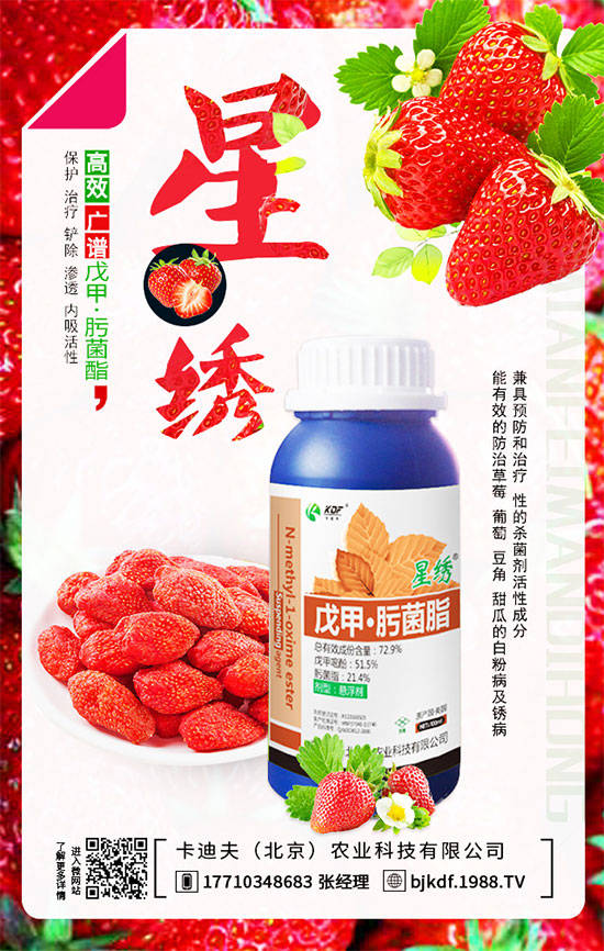 ����Ҫ��Ҫ���������������_��֦����أ�