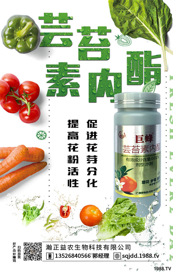 國(guó)內(nèi)植物源藥劑防治青苔專利技術(shù)產(chǎn)品“苔美”即將上市