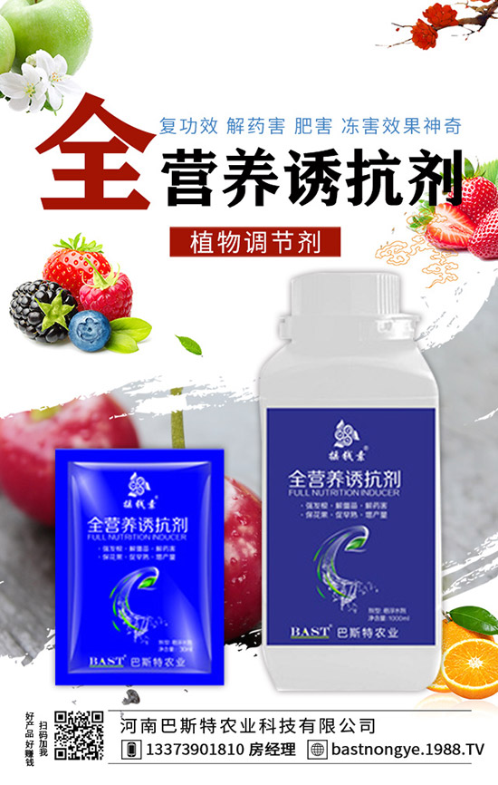 �Y(ji��)����{(l��n)��ôʩ�ʣ��Y(ji��)����{(l��n)��ʩ�ʼ��g(sh��)��