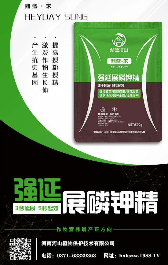 ��-2