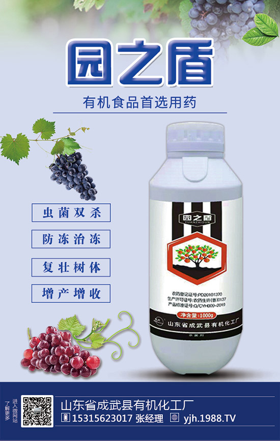 �����������������ʩ�ʼ��g(sh��)��Ҫ�c(di��n)��