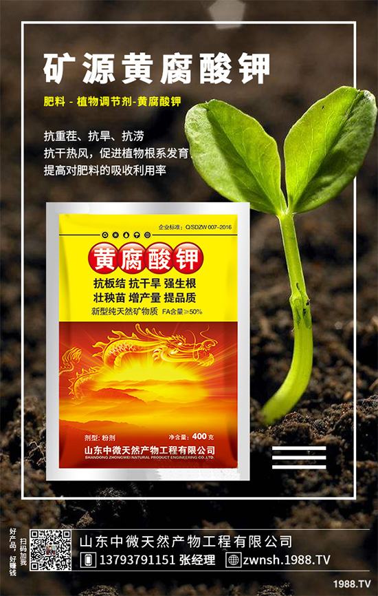 ������ԓ��η�ֳ�������ǵķ�ֳ���g(sh��)�������