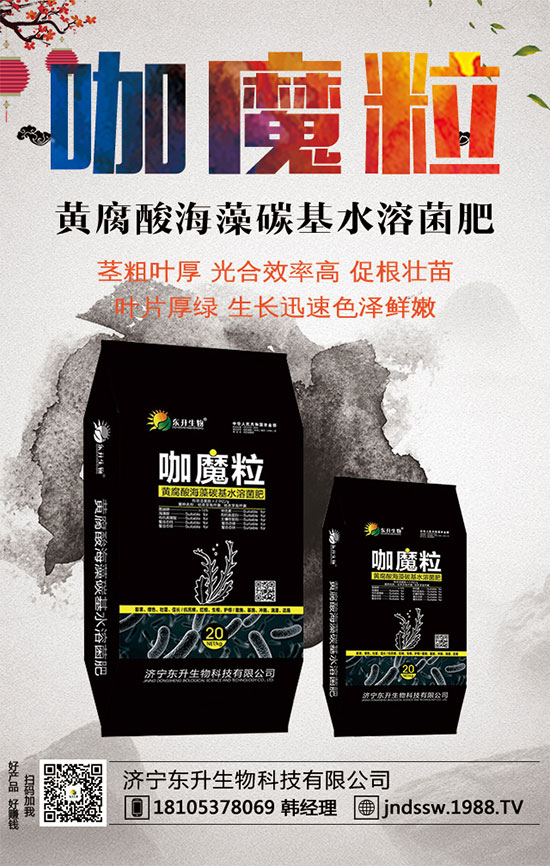 С����ʲô�g�Nֲ�r(sh��)��С���۷Nֲ����Ҫ�c(di��n)��