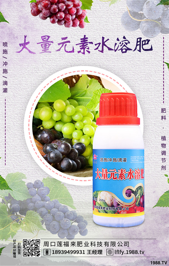 ���v�̶����Xһ�����Nֲǰ���������ˎ�ĵ�Ч�����