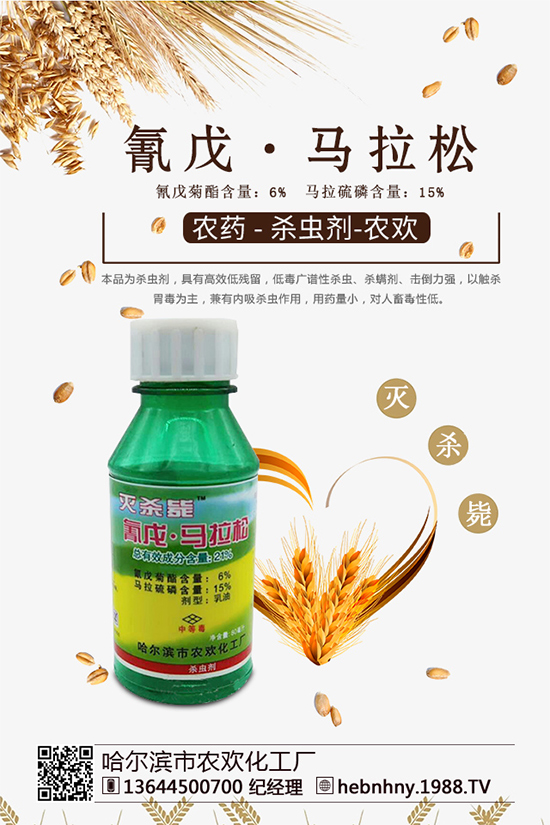 �x���߷��ڡ������xຸ�Ч���x�����Դ���գ�