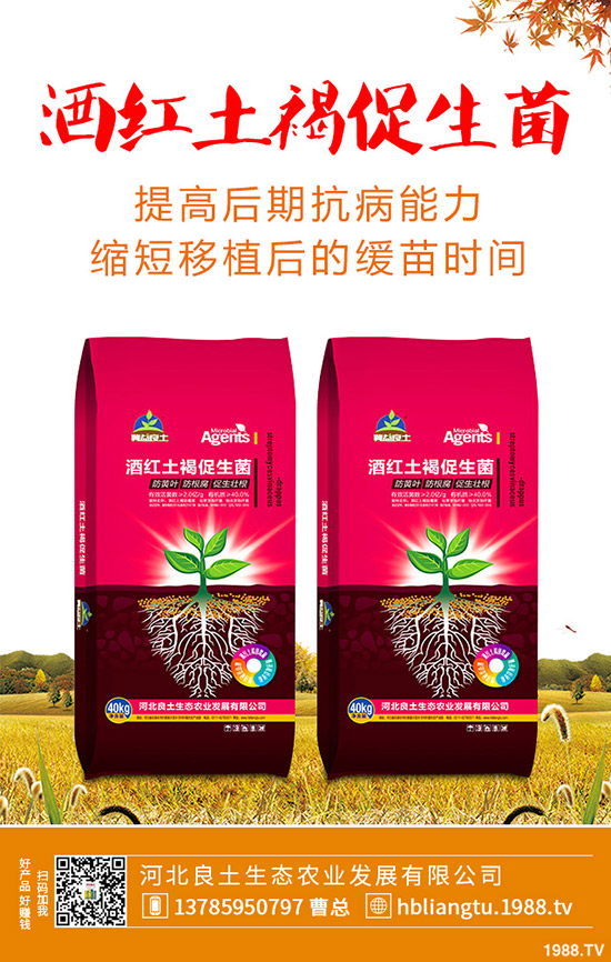 �{��ʲô�r��Nֲ�^�����{�˵ķNֲ���g�c���g����