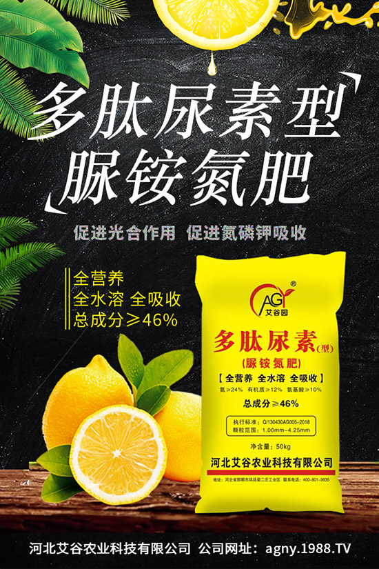 �ļ����NֲҪ�c���ļ������缼�g(sh��)�����ڹ���