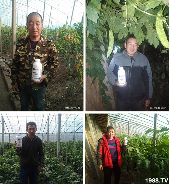 傻魚(yú)魚(yú)頭鈣-傻魚(yú)魚(yú)肥-倍豐