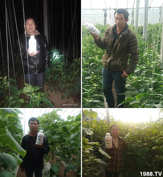 傻魚(yú)魚(yú)頭鈣-傻魚(yú)魚(yú)肥-倍豐