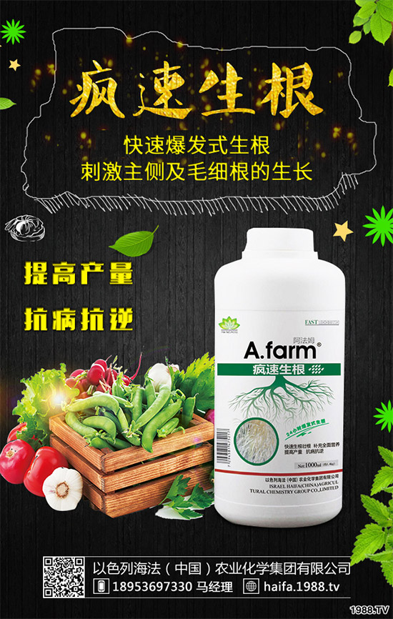 葡萄裂果是啥原因？該如何預(yù)防？葡萄裂果的原因和防治方法