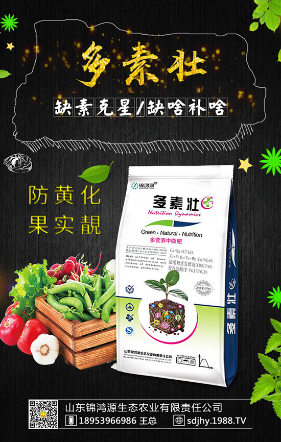 ���������緽������Щ������������Ҫ�c(di��n)�����ڹ�����