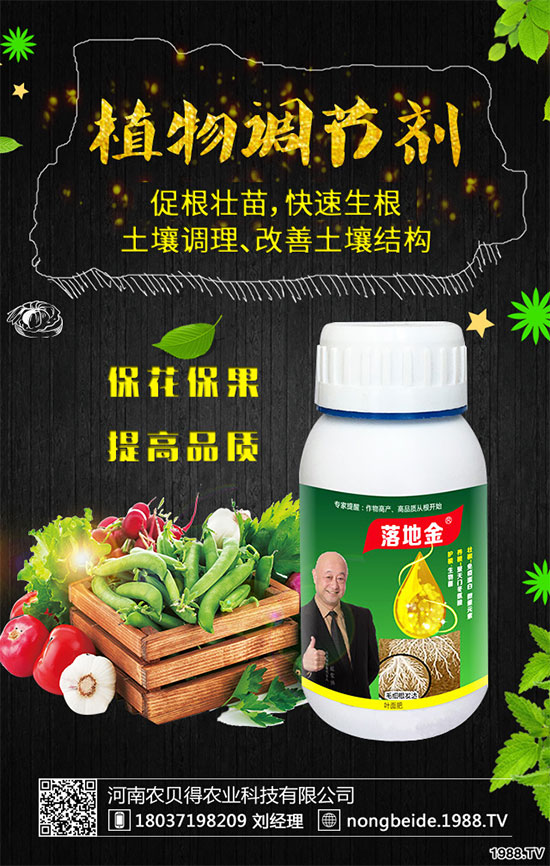 �����~Ƭ�l(f��)����ʲôԭ���������B(y��ng)ֳע��Ҫ�c(di��n)��