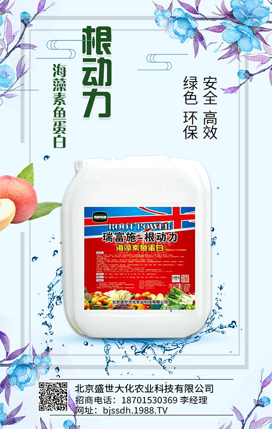 ��֦���L�h(hu��n)��Ҫ������֦��޽ӷ�����ʩ��ԭ�t��