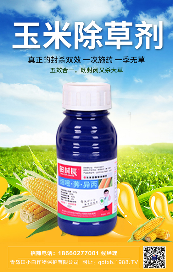 ���׷N�Ӱ�N��ʲô�������������ڹ���Ҫ�c��