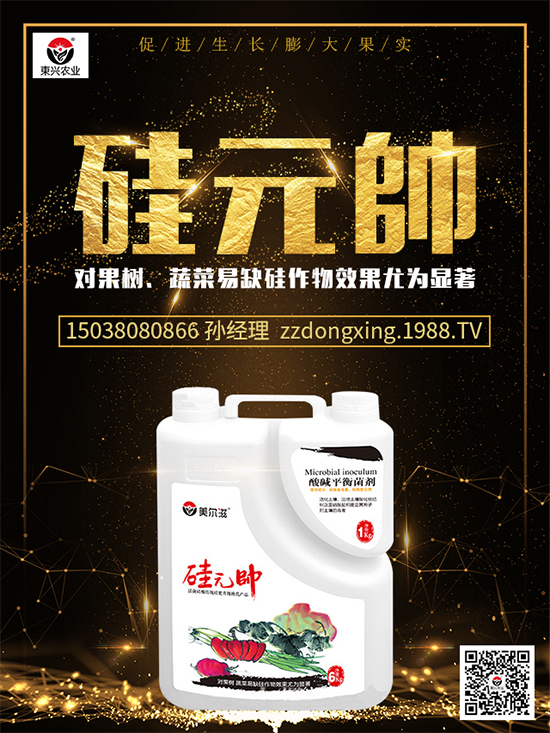 鉀肥價(jià)格行情日?qǐng)?bào)