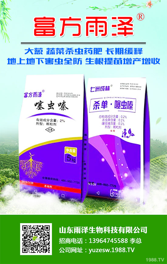     S-�������