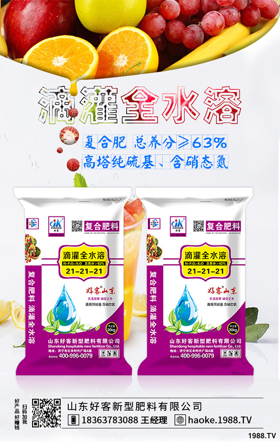 �R���ԓ������a�������g�����R������a���|��ֵ���ղأ���