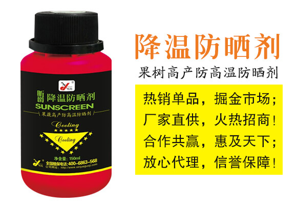 ���ط���-꿾�_02