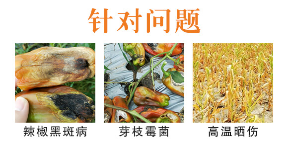 ���ط���-꿾�_03