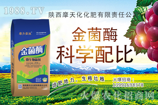 2020�����Nֲǰ����ô���������N�Ӷ����Xһ����