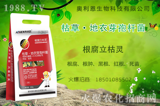 ����ù���r(n��ng)ˎ�r(ji��)��S�̈�(b��o)�r(ji��)