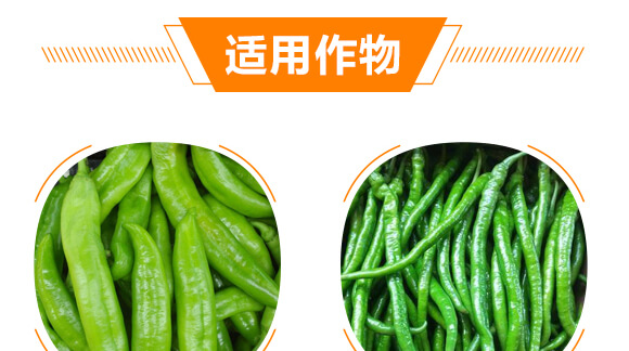 ����ý��S��-������-���r(n��ng)���_08