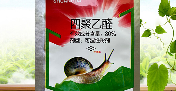 80%�ľ���ȩ��15�ˣ�-�p��-�P�Z����_02