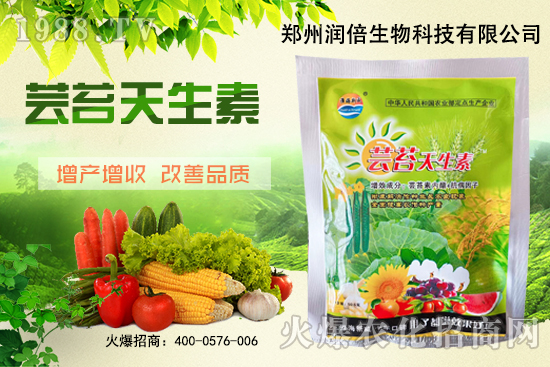 �S�B������ô�������S�B���ڲ��x��������