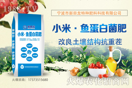 �̵ָĠI(y��ng)�B(y��ng)�r(ji��)ֵ����Щ���ָ̹�Ч�c��������Щ��