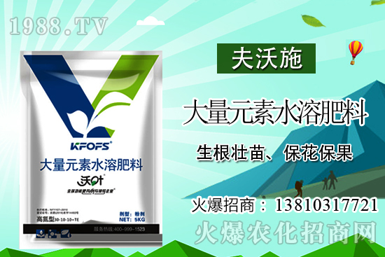 冬瓜高產(chǎn)施肥要點(diǎn),冬瓜什么時(shí)候采收?