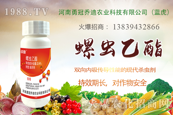 ���x���r��