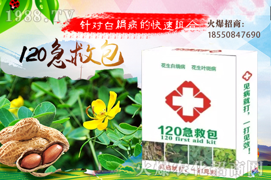 ���^��Ʒ�N����Щ�����^��ķNֲЧ�������