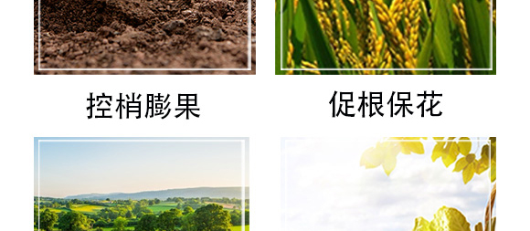 �׷����־���-�۟oۙ-�T�_(d��)_07