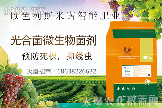 根結(jié)線蟲危害大，太難防？“菌微特”來幫忙！抑制線蟲和蟲卵，干凈！