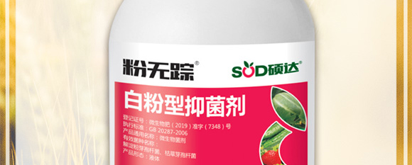 �׷����־���-�۟o(w��)ۙ-�T�_(d��)_03